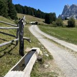 Acqua natura sentiero creato montagna